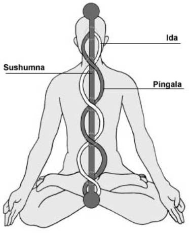 Etimologia