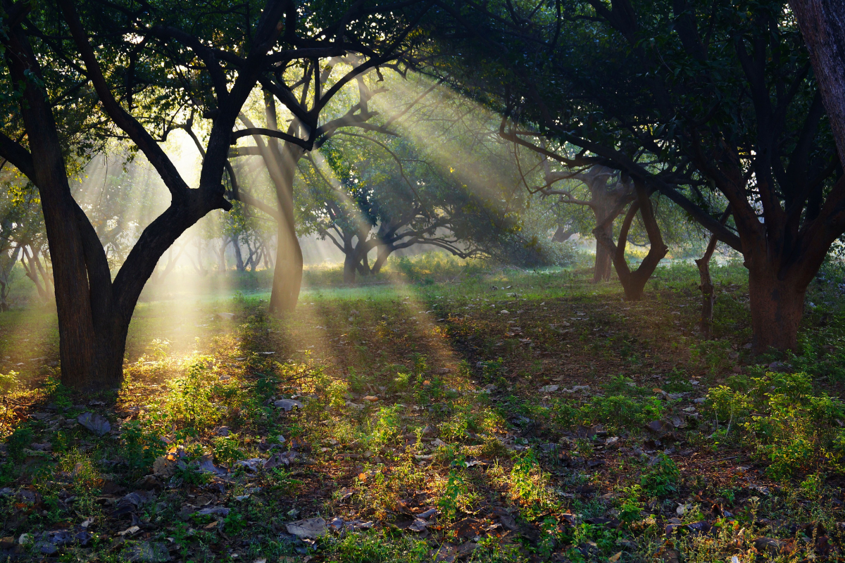 Ashram